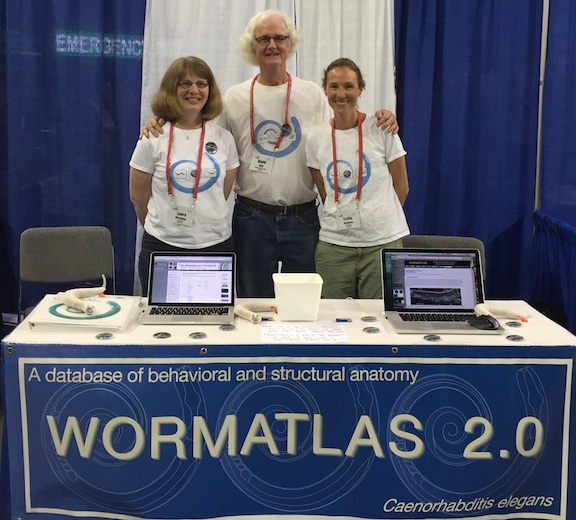 WormAtlas Booth Aging 2015
